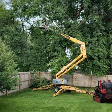 Lawn Drainage Solutions in Clyde, NY